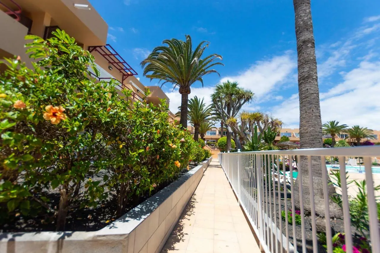 Poolviewzen Apartment Corralejo