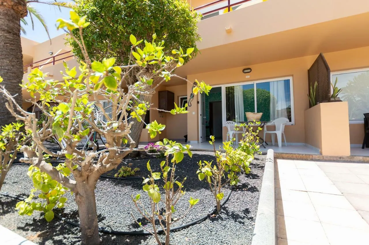 Poolviewzen Apartment Corralejo